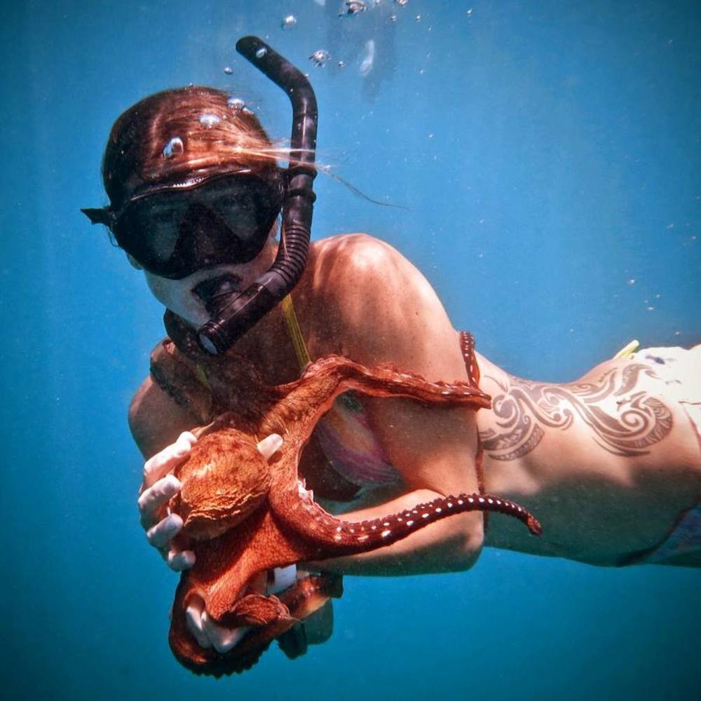 Meet your Posher, Christina